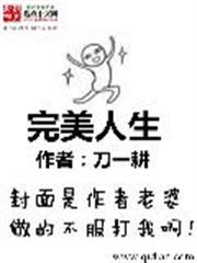 完美人生