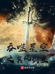 吞噬星空之巽風劍主