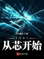 1991從芯開始