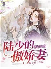 隱婚虐愛陸少的傲嬌妻