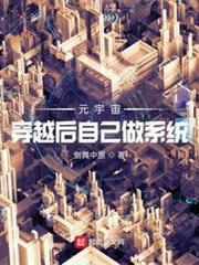 元宇宙：穿越後自己做系統