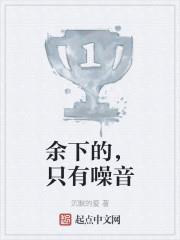 餘下的，只有噪音