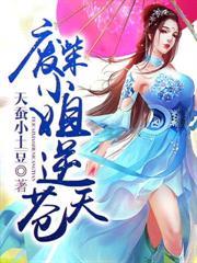 廢柴小姐逆蒼天