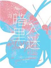 暗裡入迷