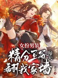 女扮男裝，精分王爺每天翻我家牆