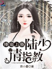 撩寵上癮：陸少，請指教