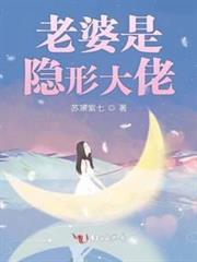 老婆是隱形大佬