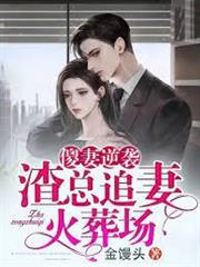 渣總追妻火葬場