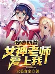 寵妻奶爸：女神老師愛上我