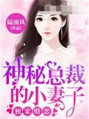 神秘總裁的小妻子林清歡陸墨沉
