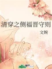 清穿之側福晉守則