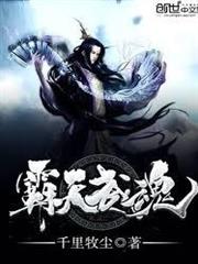 霸天武魂