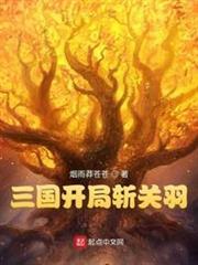 三國開局斬關羽