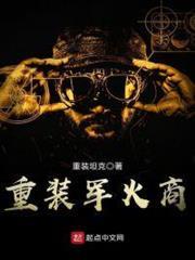 重裝軍火商