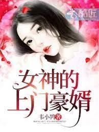 女神的上門豪婿趙旭李晴晴