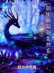 死神之新生的最強炎熱系