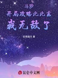完美之雙重臥底