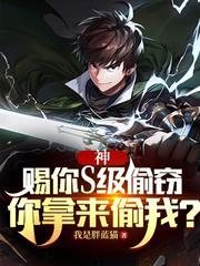 神：賜你S級偷竊，你拿來偷我？