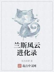 蘭斯風雲進化錄