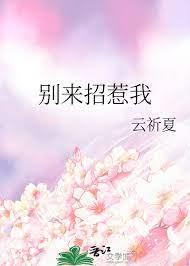 別來招惹我