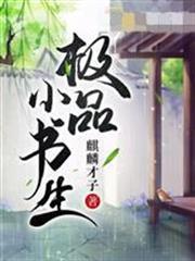 極品小書生
