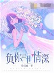 負你一世情深安年傅擎深