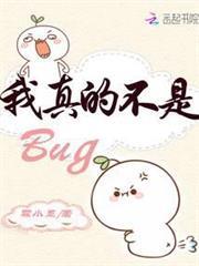 我真的不是Bug
