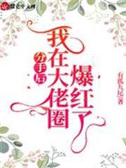 分手後，我在大佬圈爆紅了