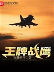 王牌戰鷹