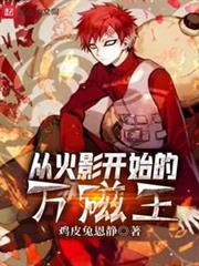 從火影開始的萬磁王