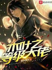 木葉之等級大佬