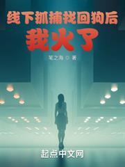 神探：從抓捕找回狗開始
