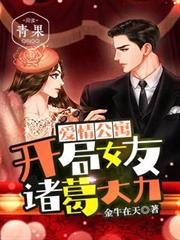 愛情公寓：開局女友諸葛大力