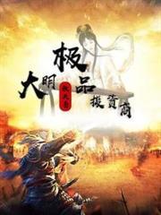 大明極品投資商