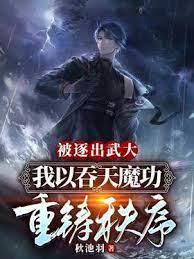 被逐出武大，我以吞天魔功重鑄秩序