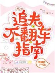 追夫不翻車指南