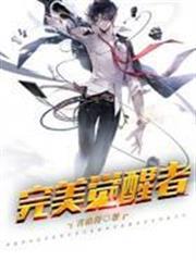 完美覺醒者