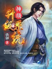 神級升級系統