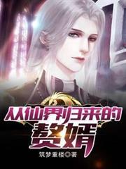 從仙界歸來的贅婿