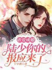 虐愛成婚，陸少你的報應來了