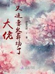 大佬又追妻火葬場了