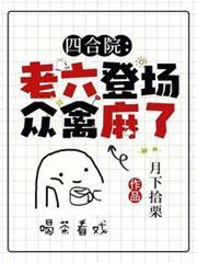四合院：老六登場，眾禽麻了