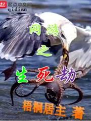 網遊之生死劫