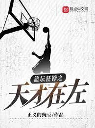 籃壇狂鋒之天才在左
