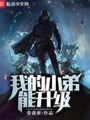 我的小弟能升級