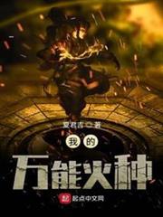 我的萬能火種