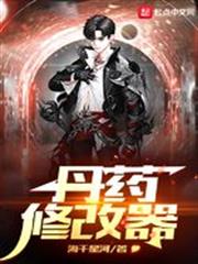 丹藥修改器