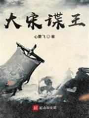 大宋諜王
