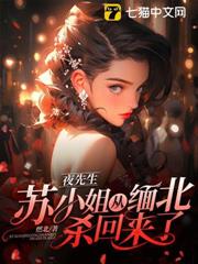 夜先生，蘇小姐從緬北殺回來了