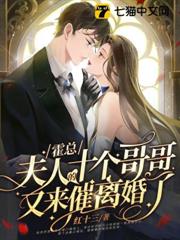 霍總，夫人的十個哥哥又來催離婚了